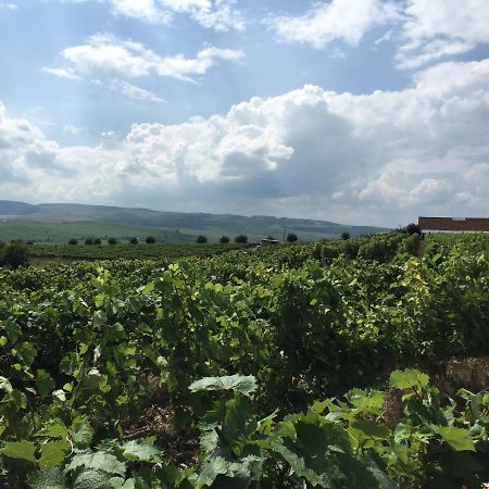 Wineyards Salin Bed & Breakfast Turda Luaran gambar