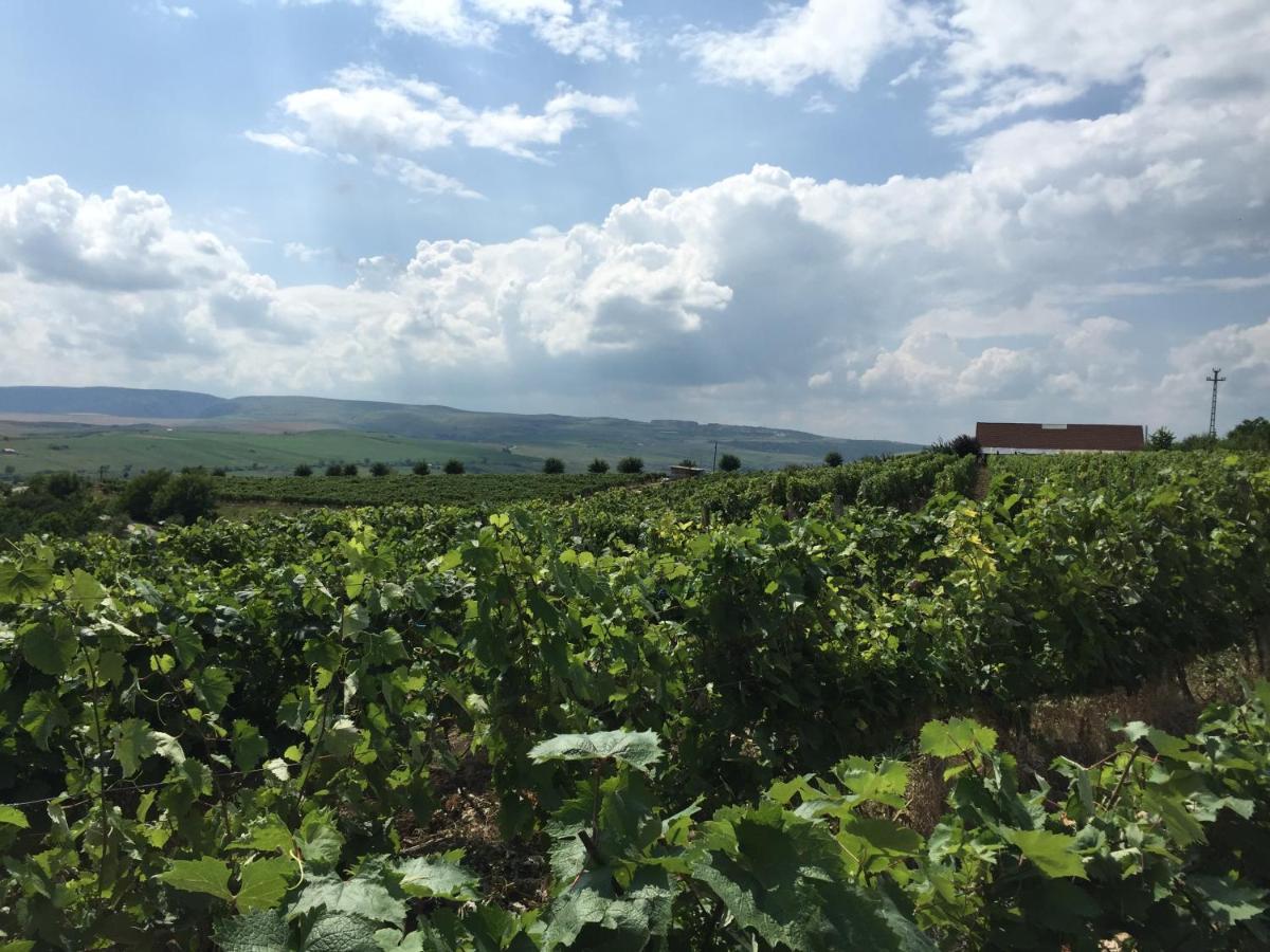 Wineyards Salin Bed & Breakfast Turda Luaran gambar