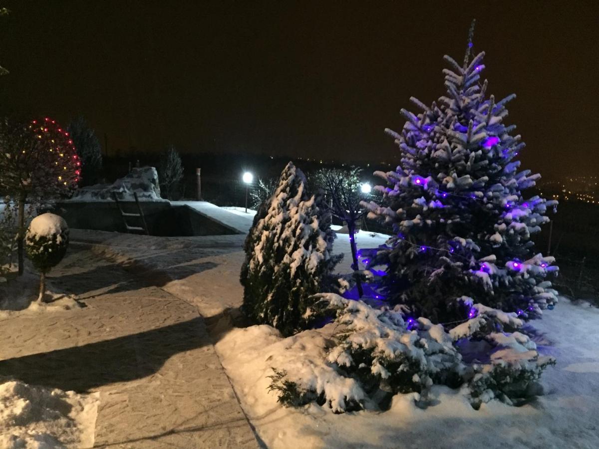 Wineyards Salin Bed & Breakfast Turda Luaran gambar