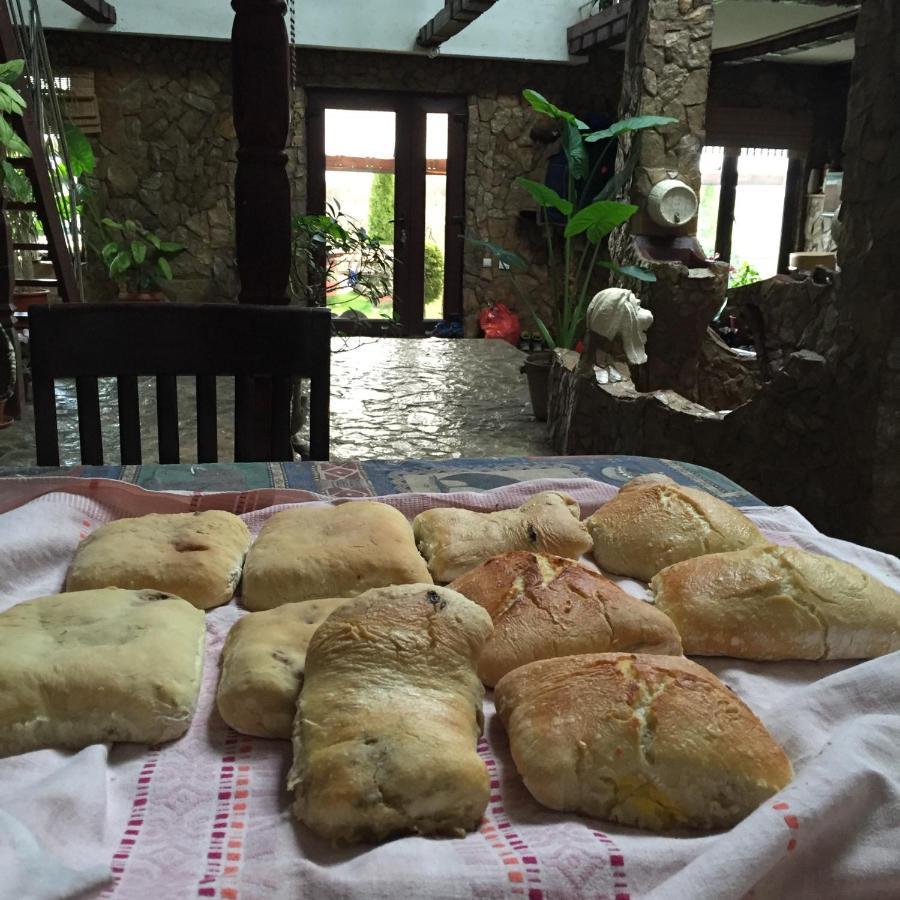 Wineyards Salin Bed & Breakfast Turda Luaran gambar
