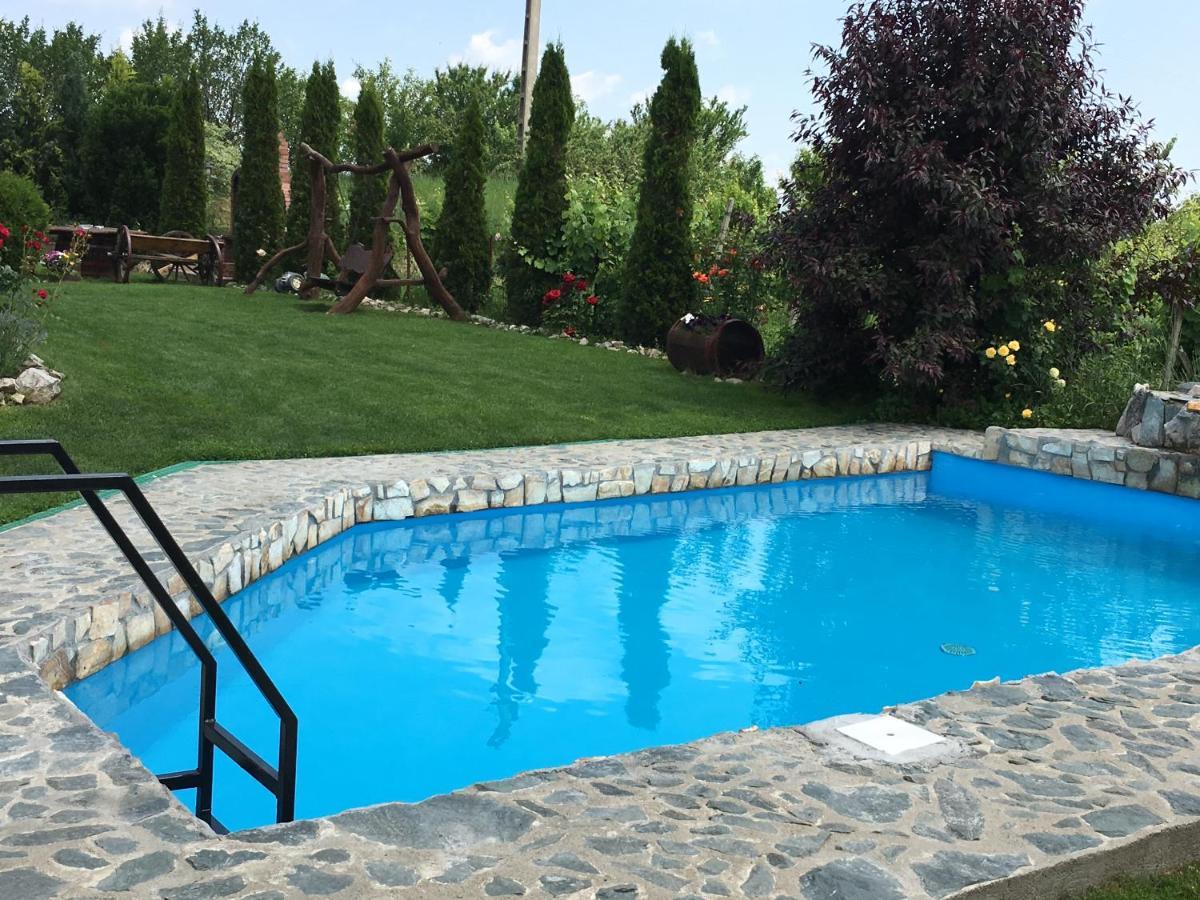 Wineyards Salin Bed & Breakfast Turda Luaran gambar