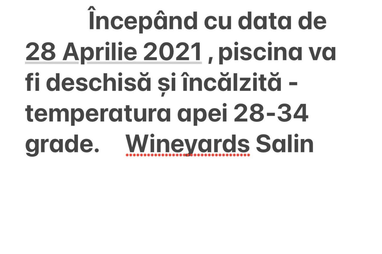 Wineyards Salin Bed & Breakfast Turda Luaran gambar