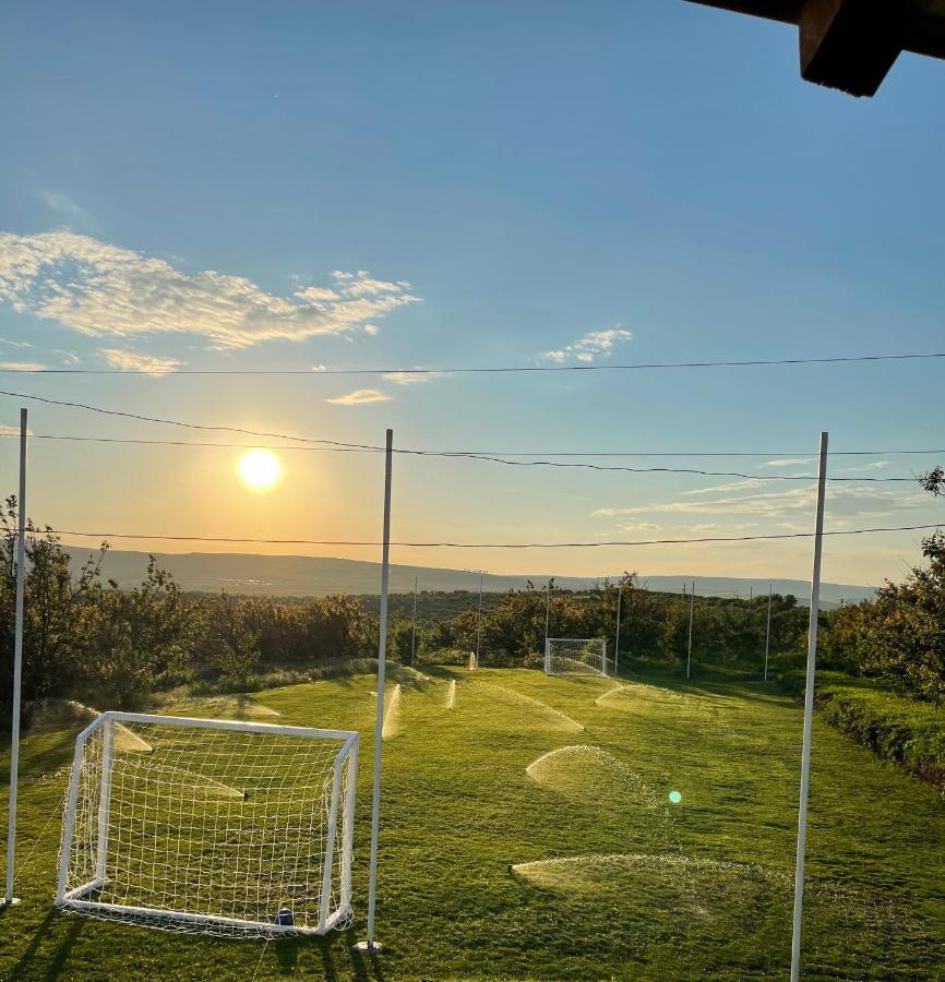 Wineyards Salin Bed & Breakfast Turda Luaran gambar