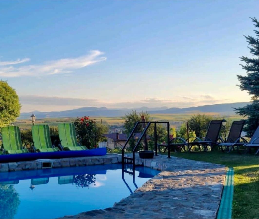 Wineyards Salin Bed & Breakfast Turda Luaran gambar