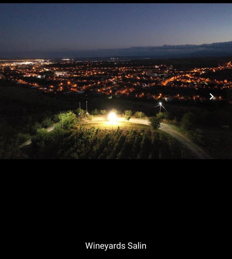 Wineyards Salin Bed & Breakfast Turda Luaran gambar