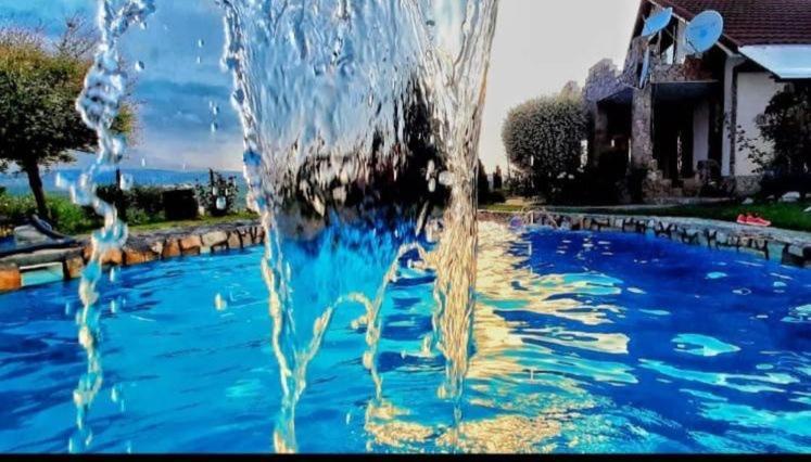Wineyards Salin Bed & Breakfast Turda Luaran gambar