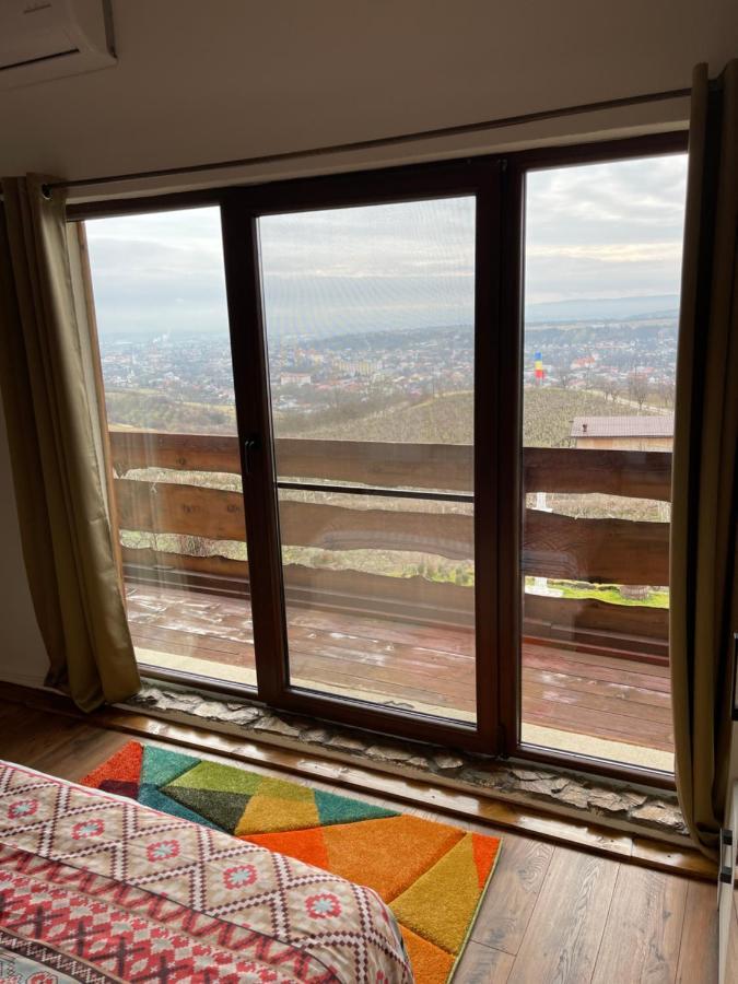 Wineyards Salin Bed & Breakfast Turda Luaran gambar