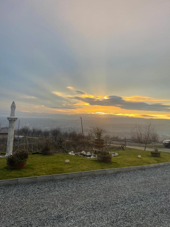 Wineyards Salin Bed & Breakfast Turda Luaran gambar