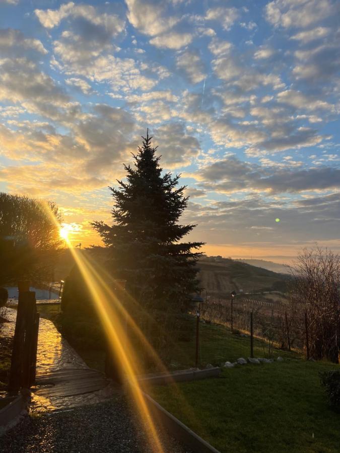 Wineyards Salin Bed & Breakfast Turda Luaran gambar