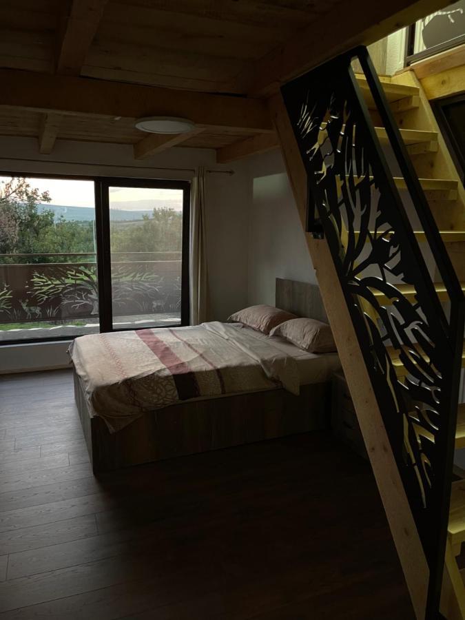 Wineyards Salin Bed & Breakfast Turda Luaran gambar