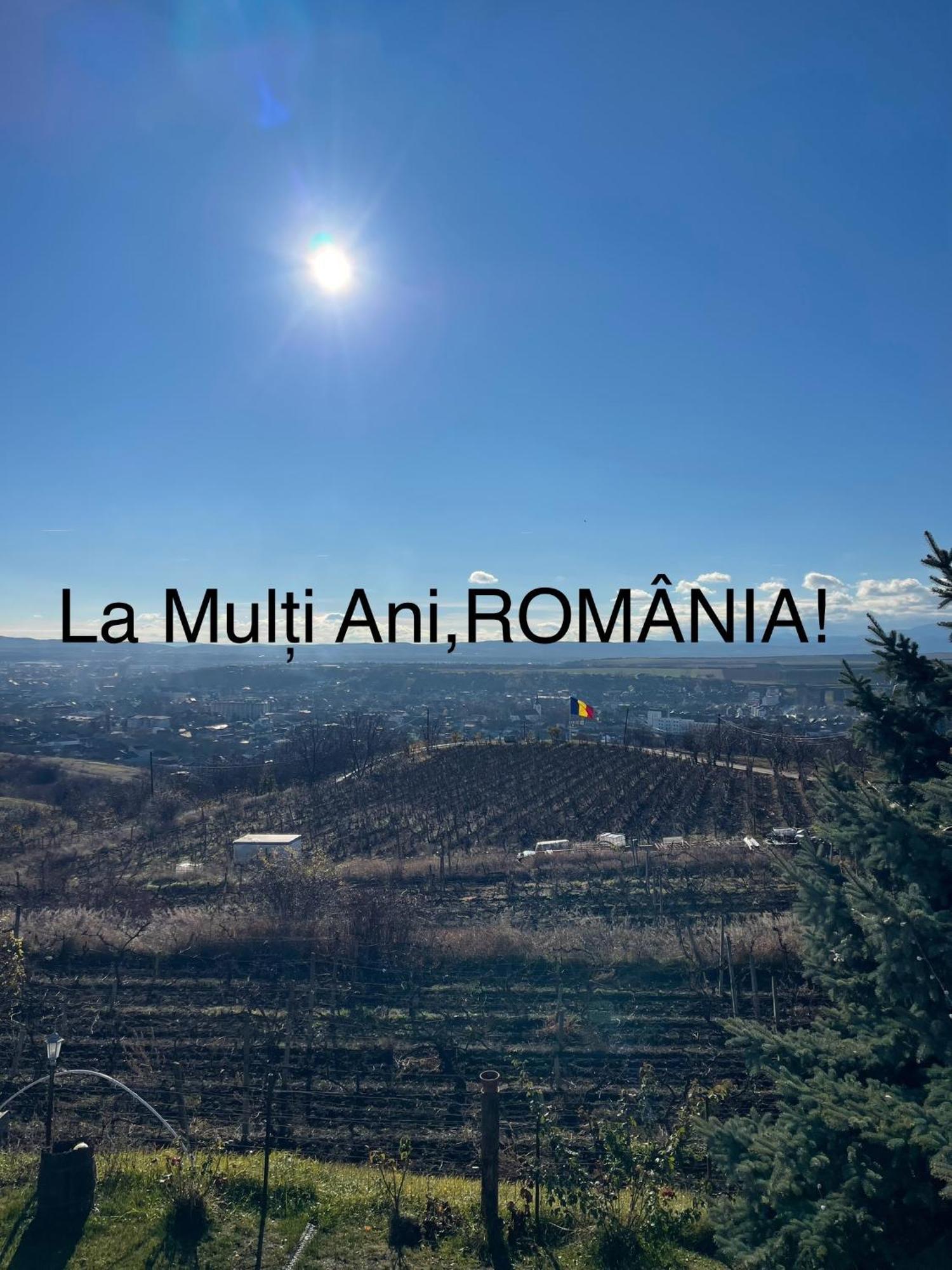 Wineyards Salin Bed & Breakfast Turda Luaran gambar